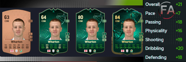 adam wharton blackburn